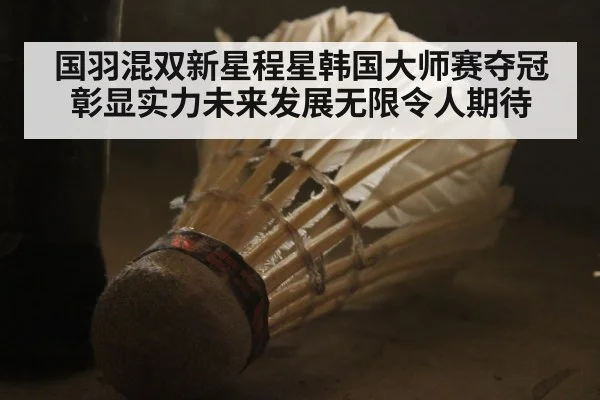 国羽混双新星程星韩国大师赛夺冠彰显实力未来发展无限令人期待